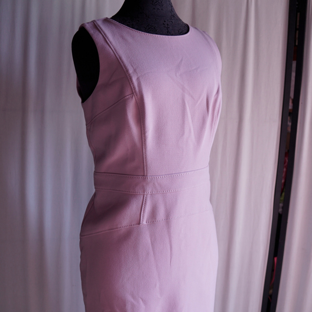 ANN TAYLOR LOFT Pink Sleeveless Career Dress sz 8